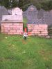G0108 Grave 1895 Mary Ann Champion
